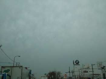 SN3S0039.jpg