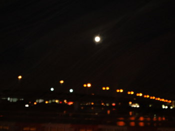 SN3S060900010001.jpg